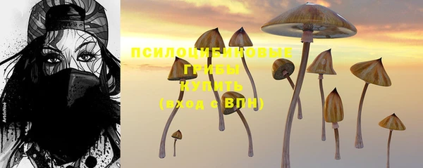 прущие крисы Вязники