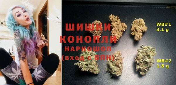 гидропоника Вяземский