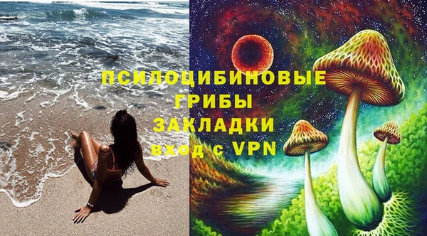 гидропоника Вяземский