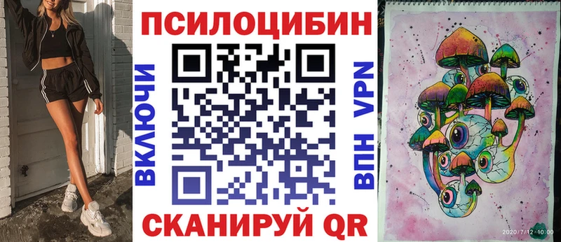 Купить где  Балашиха  Псилоцибиновые грибы Psilocybe 